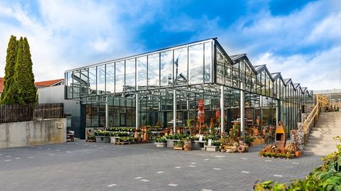 Außenansicht von Blumen Schönleber in Altdorf: Gewächshaus-Neubau mit Glasfassade bei Tageslicht
